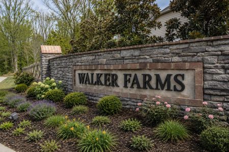 Walker Farms by Grant & Co in Bartlett - image