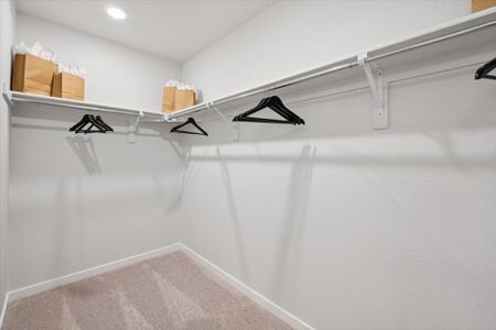 Windler by Century Communities in Aurora - image 6
