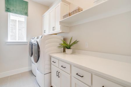 Wildflower Ranch by William Ryan Homes in Fort Worth - image 9