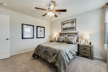 Balmoral East by Colina Homes in Houston - photo 10 10