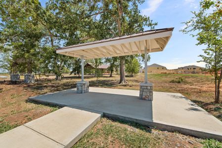 Fulshear Lakes by Westin Homes in Fulshear - image 4