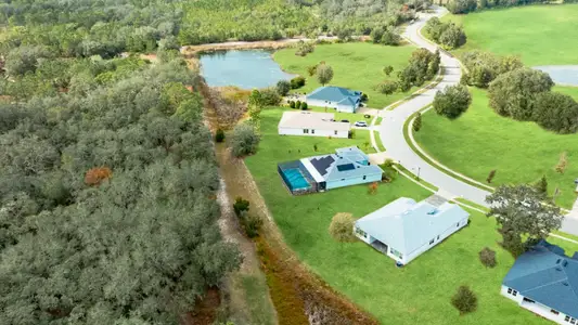 Serengeti by DRB Homes in Spring Hill - image