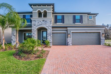 K-Bar Ranch Gilded Woods by M/I Homes in Tampa - photo 24 24