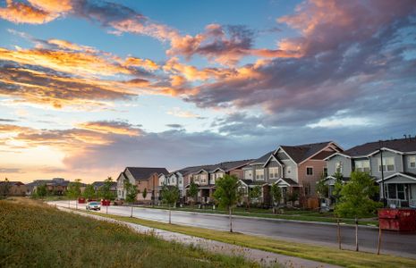 Painted Prairie by Pulte Homes in Aurora - photo 6 6