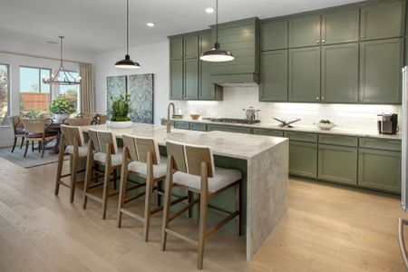 Ladera - 60s by Drees Custom Homes in San Antonio - image 6