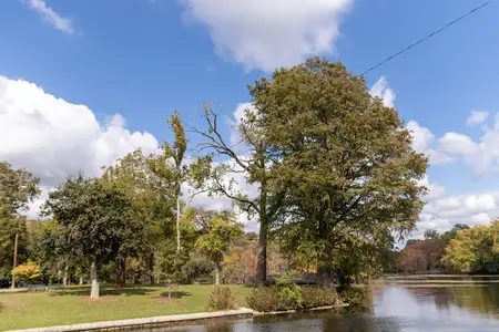 Deer Crest - Heritage Collection by KB Home in New Braunfels - photo 4 4