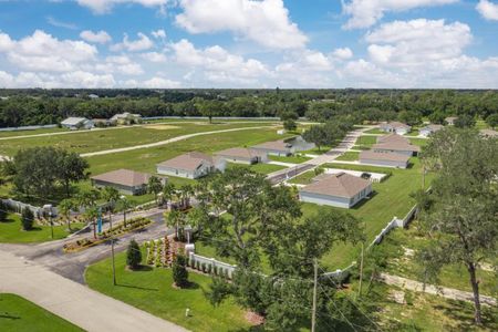 Grand Oaks by Century Complete in Avon Park - image 6