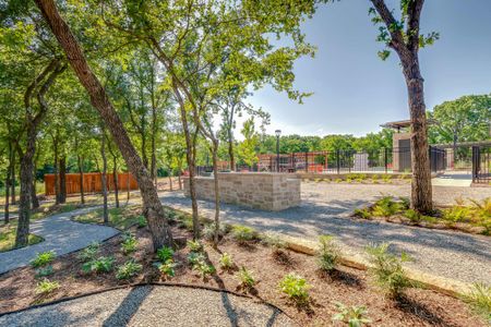 Prairie Oaks by David Weekley Homes in Little Elm - photo 26 26