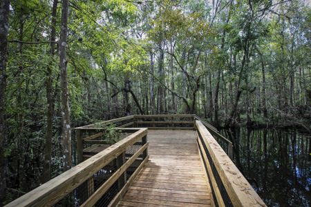 Trailmark Phase 10 by Drees Custom Homes in St. Augustine - photo 11 11