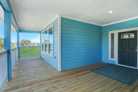 Peacock Isle by Bayway Homes in Dickinson - photo 25 25