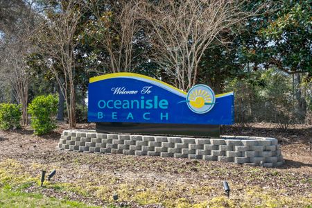 Waterside - Boardwalk Series by Meritage Homes in Longs - image