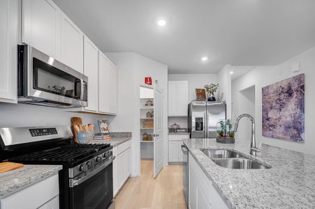 Newport Grove 50s by Taylor Morrison in Crosby - image 6