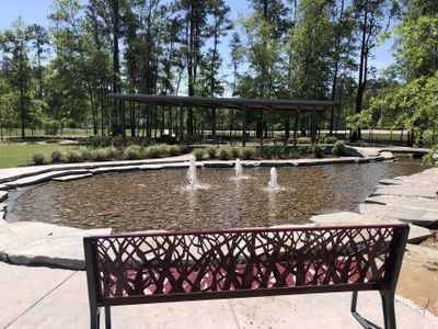 Grand Central Park - Master planned community in Conroe, TX 10 10