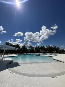 Carolina Groves Townhomes by D.R. Horton in Moncks Corner - photo 34 34