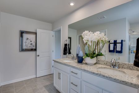 Copper Crest Single Family Homes by Stanley Martin Homes in Lexington - image 11