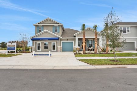 Angeline by Dream Finders Homes in Land O' Lakes - photo 19 19