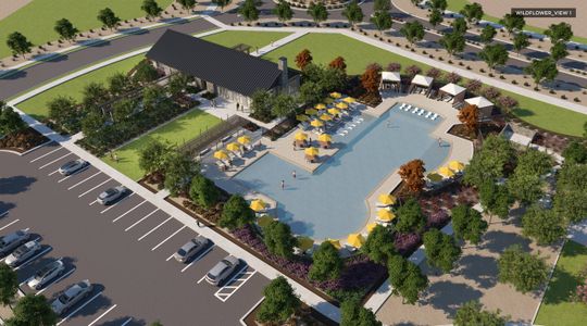 Wildflower Ranch 60-65 by Bloomfield Homes in Justin - image 17