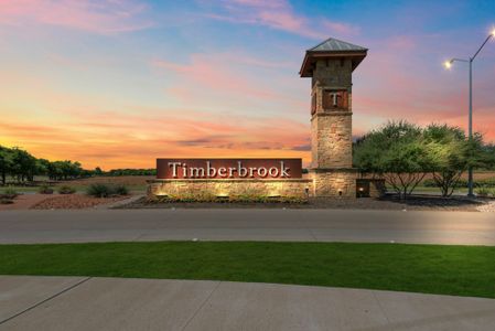 Timberbrook by Pacesetter Homes in Justin - photo 0