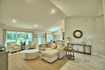 Cadence Crossing by Adams Homes in Auburndale - photo 14 14