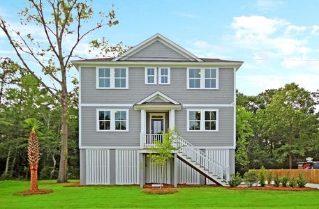 Maple Street Village by Hunter Quinn Homes in Hanahan - photo 0