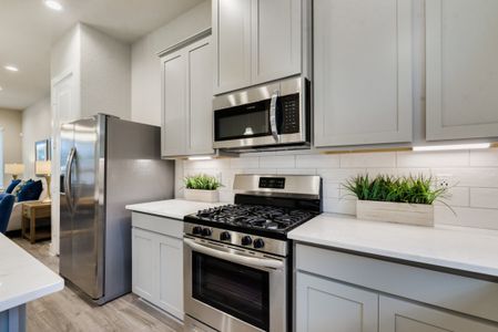 Regents Court by Colina Homes in Houston - photo 22 22