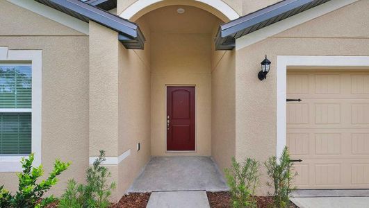 Royal Highlands by LGI Homes in Brooksville - photo 17 17