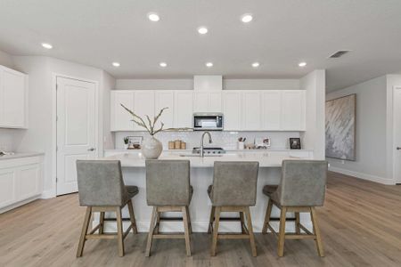 Southwind – Executive Series by David Weekley Homes in Plant City - image 5