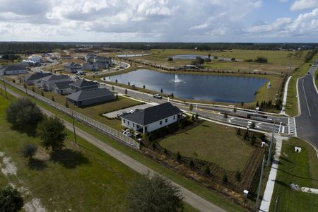 Bay Lake Farms by M/I Homes in St. Cloud - photo 26 26