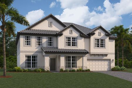 Shortgrass At Two Rivers by M/I Homes in Zephyrhills - photo 12 12