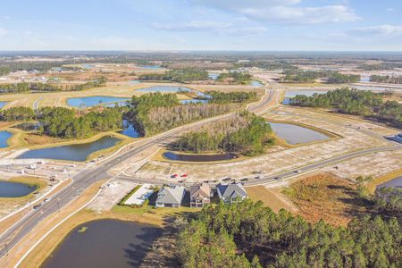 Shortgrass At Two Rivers by M/I Homes in Zephyrhills - photo 28 28