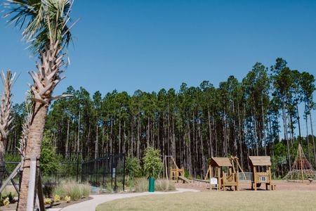 Forest Park at Wildlight by Riverside Homes in Wildlight - photo 5 5