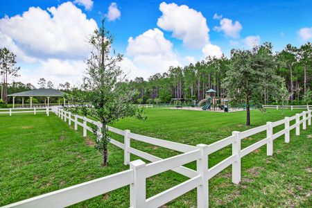 Sandy Creek by SEDA New Homes in Saint Augustine - photo 5 5