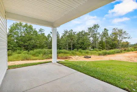 Forts Ridge by McGuinn Homes in Pelion - image