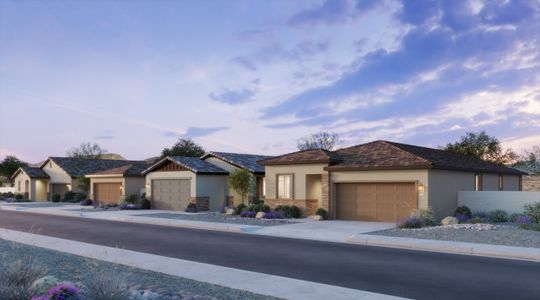 Mesquite Trails by Risewell Homes in Florence - image