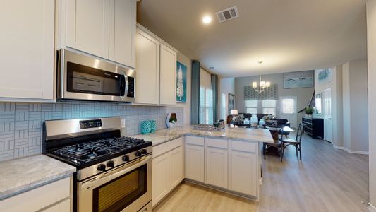 Sunterra by Colina Homes in Katy - photo 9 9