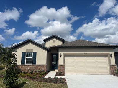 Tea Olive Terrace at the Fairways by William Ryan Homes in Palmetto - photo 37 37