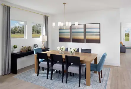 Coasterra by David Weekley Homes in Palmetto - image 6