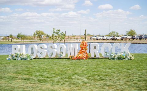 Laurel at Blossom Rock by Brookfield Residential in Apache Junction - photo 1 1