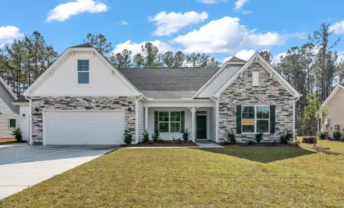 Arbor West by Eastwood Homes in Dawsonville - photo 0