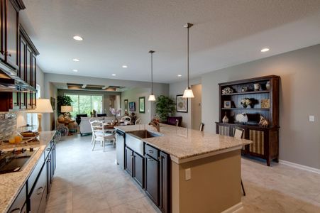 Panther Creek Preserve by Drees Custom Homes in Jacksonville - photo 11 11