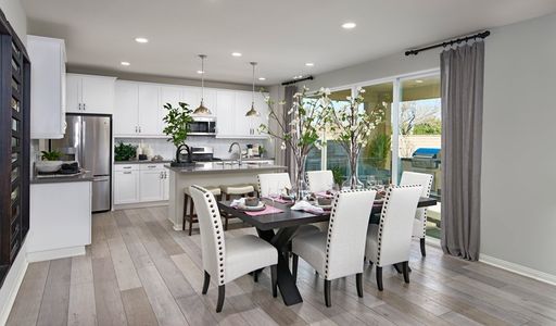 Seasons at Entrada Del Oro II by Richmond American Homes in Gold Canyon - photo 31 31