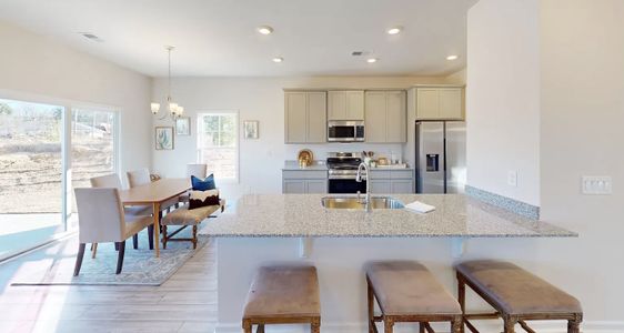 Portrait Hills by Hurricane Builders in Aiken - image 7