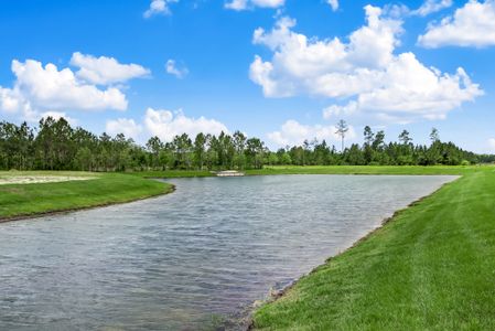 Sandy Creek by SEDA New Homes in Saint Augustine - photo 9 9