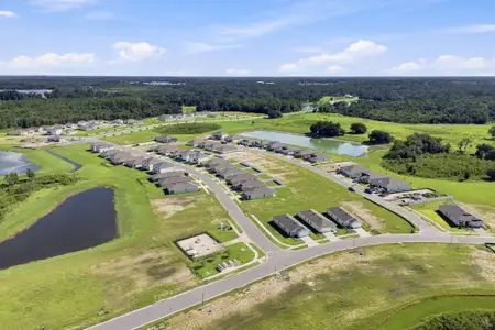 Fox Branch by M/I Homes in Lakeland - image