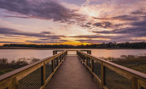 West Hill Estates by ICI Homes in Dade City - image 20