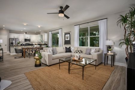 The Sanctuary II by KB Home in Clermont - photo 31 31