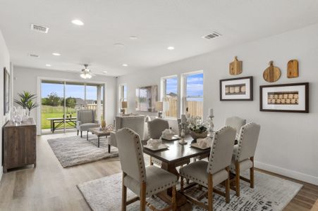 Blanco Vista by Dream Finders Homes in San Marcos - photo 11 11