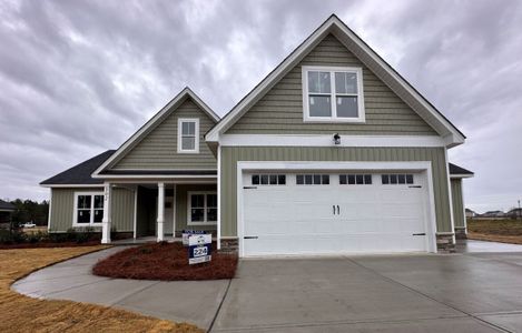 Gander Lake by Neuse River Homes in Princeton - photo 9 9