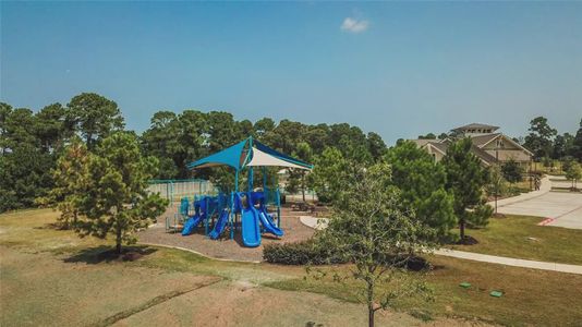 Water Crest on Lake Conroe by D.R. Horton in Conroe - photo 30 30