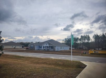 Creekside Landing by Maronda Homes in Callahan - photo 32 32